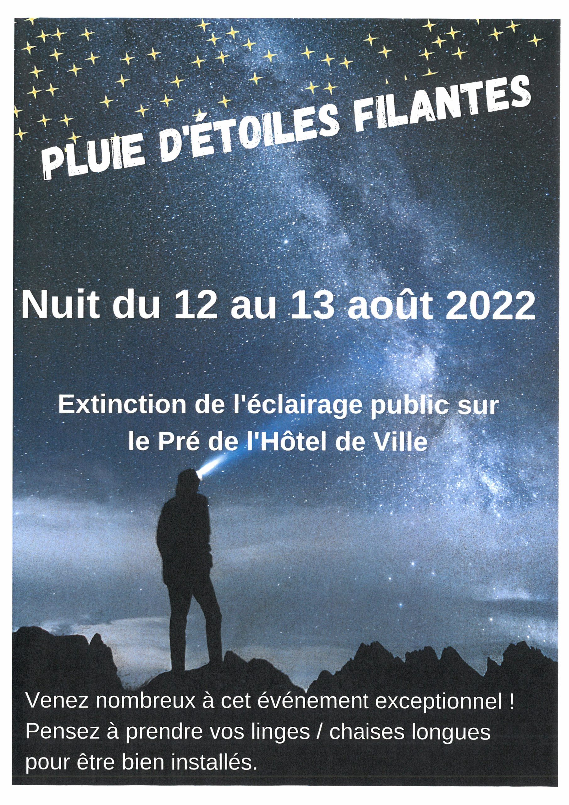 Pluie étoiles filantes 2022